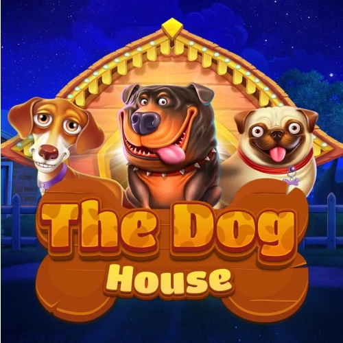 The Dog House slot with 96.51% RTP and sticky wilds feature on 1win.