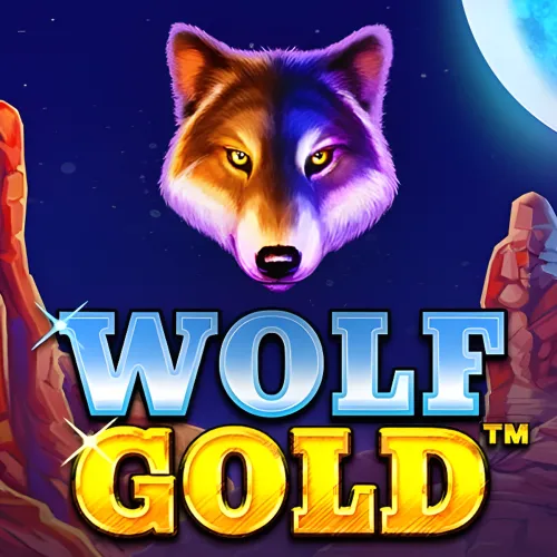 Wolf Gold slot with 96.01% RTP and jackpot features on 1win.